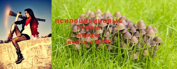 амфетамин Няндома