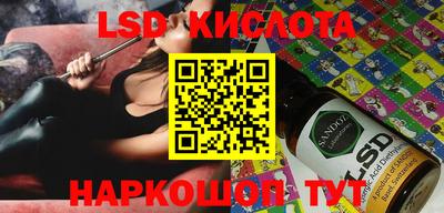 дживик Камышлов