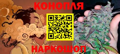 дживик Камышлов